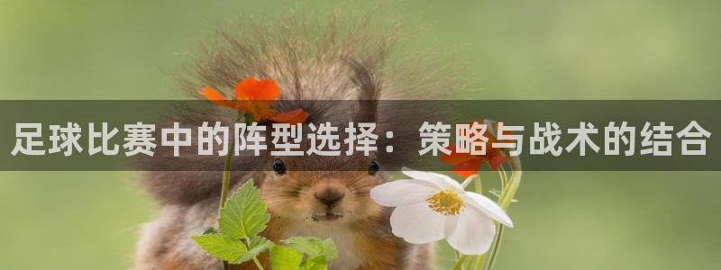 足球比赛中的阵型选择：策略与战术的结合