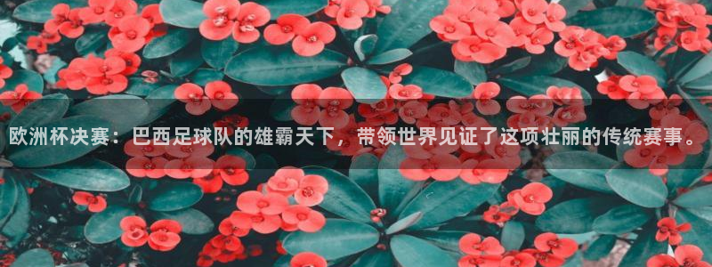 欧洲杯决赛：巴西足球队的雄霸天下，带
