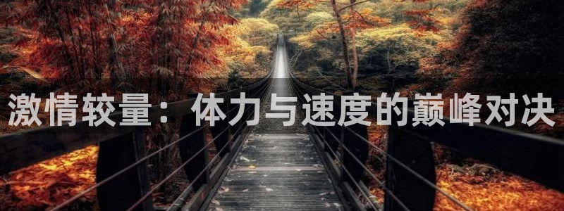 激情较量：体力与速度的巅峰对决