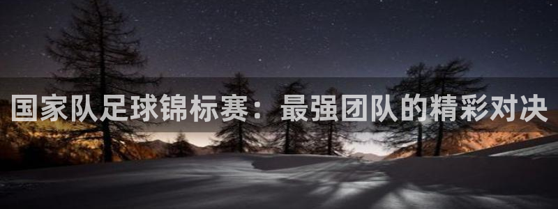  国家队足球锦标赛：最强团队的精彩对决