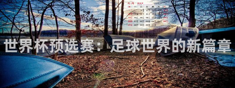  世界杯预选赛：足球世界的新篇章