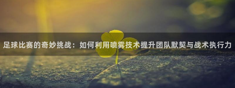 足球比赛的奇妙挑战：如何利用喷雾技术提升团队默契与战术执行力