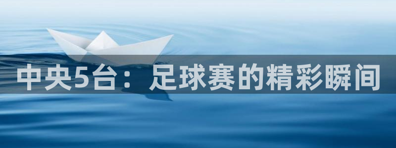 中央5台：足球赛的精彩瞬间