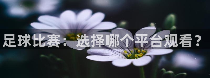  足球比赛：选择哪个平台观看？