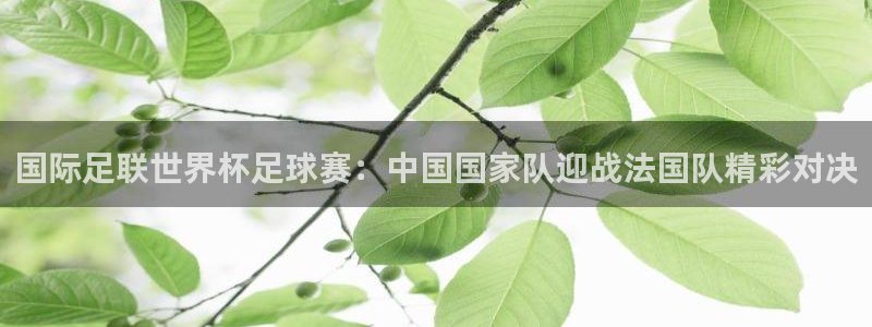 国际足联世界杯足球赛：中国国家队迎战法国队精彩对决