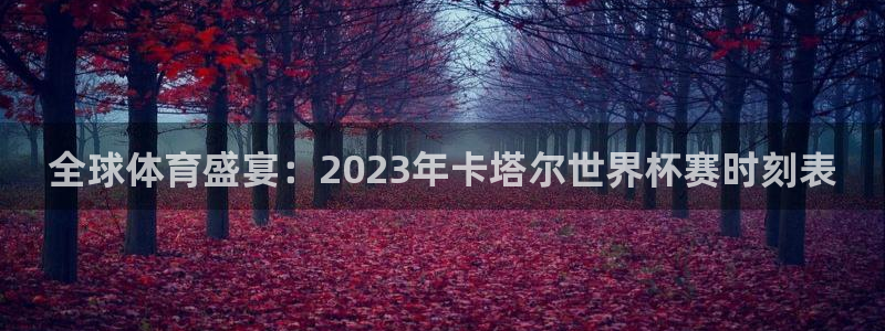 全球体育盛宴：2023年卡塔尔世界杯赛时刻表