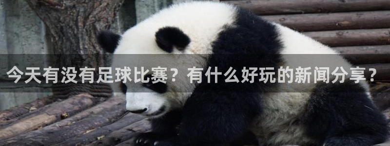 今天有没有足球比赛？有什么好玩的新闻分享？