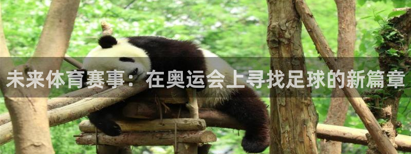 未来体育赛事：在奥运会上寻找足球的新篇章