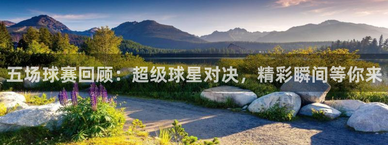  五场球赛回顾：超级球星对决，精彩瞬间等你来