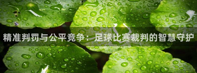 精准判罚与公平竞争：足球比赛裁判的智慧守护