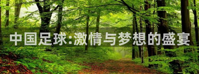  中国足球:激情与梦想的盛宴