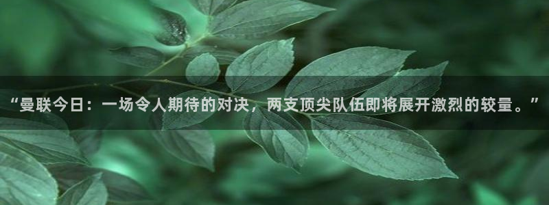 “曼联今日：一场令人期待的对决，两支顶尖队伍即将展开激烈的较
