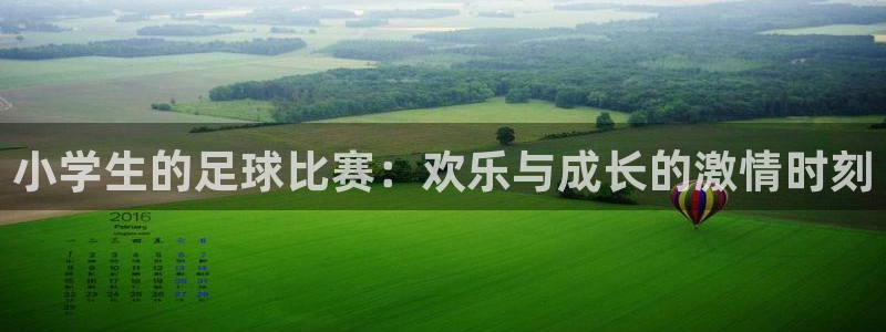  小学生的足球比赛：欢乐与成长的激情时刻