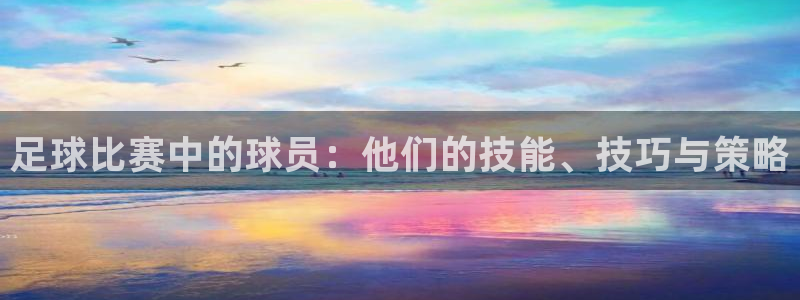 足球比赛中的球员：他们的技能、技巧与策略