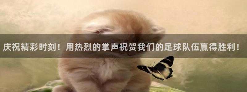 庆祝精彩时刻！用热烈的掌声祝贺我们的足球队伍赢得胜利！