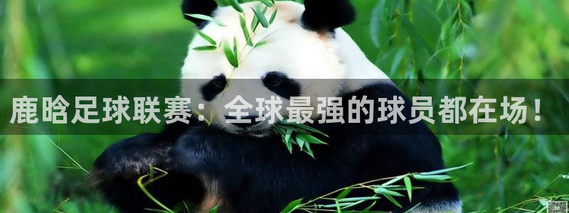  鹿晗足球联赛：全球最强的球员都在场！
