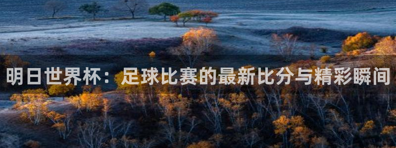 明日世界杯：足球比赛的最新比分与精彩