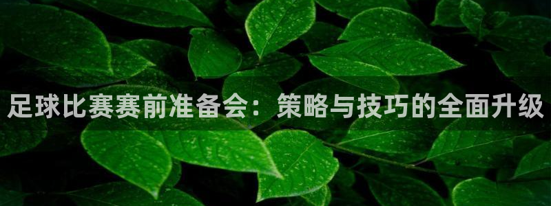 足球比赛赛前准备会：策略与技巧的全面