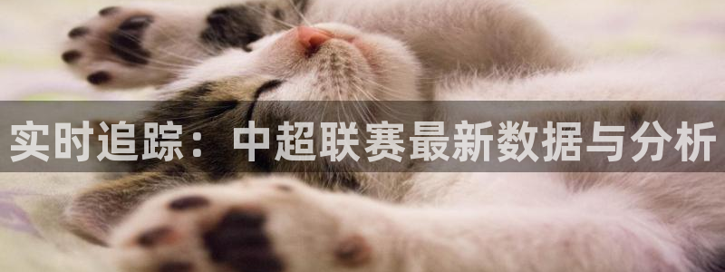 实时追踪：中超联赛最新数据与分析