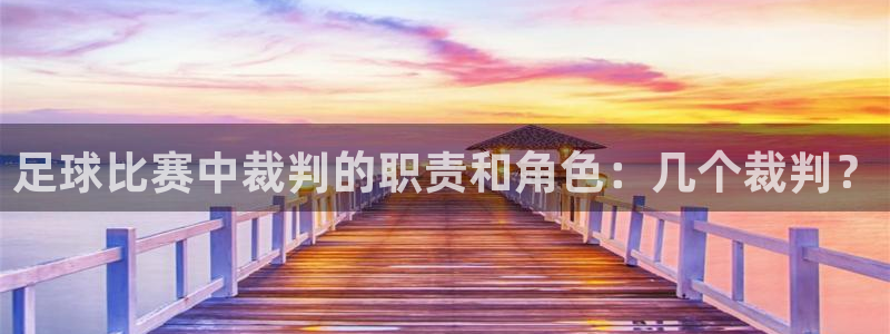足球比赛中裁判的职责和角色：几个裁判