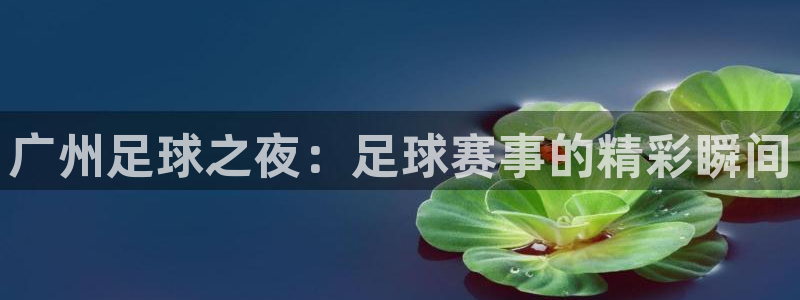 广州足球之夜：足球赛事的精彩瞬间