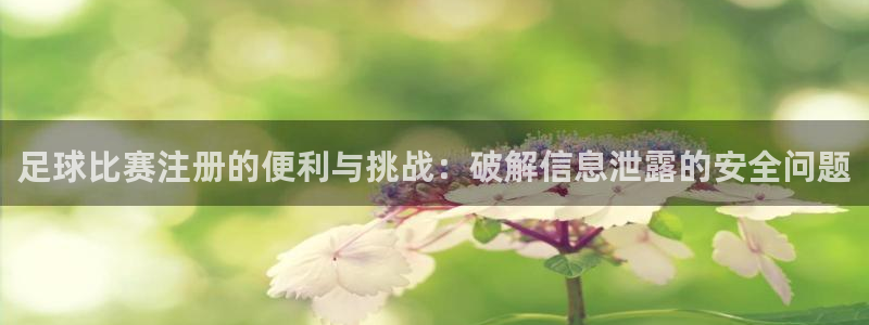 足球比赛注册的便利与挑战：破解信息泄