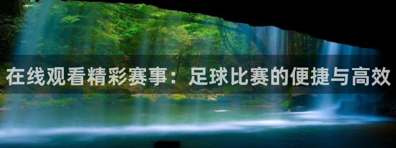 在线观看精彩赛事：足球比赛的便捷与高