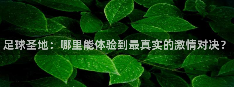 足球圣地：哪里能体验到最真实的激情对