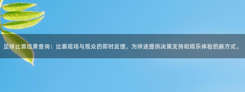 足球比赛结果查询：比赛现场与观众的即