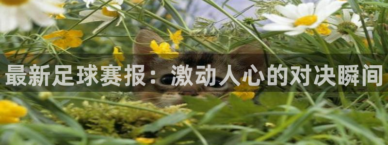 最新足球赛报：激动人心的对决瞬间