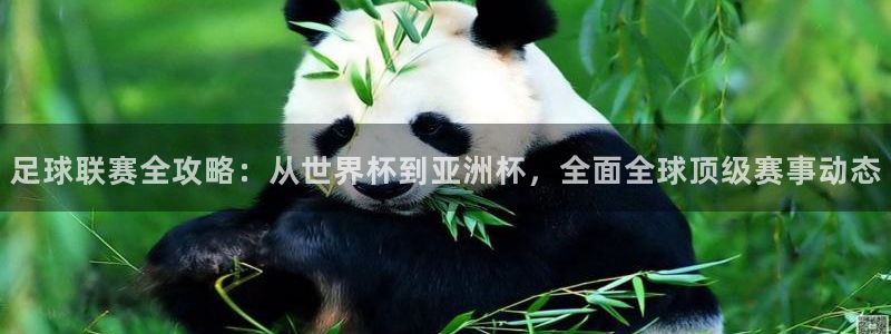 足球联赛全攻略：从世界杯到亚洲杯，全