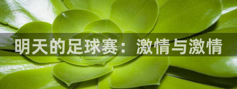 明天的足球赛：激情与激情